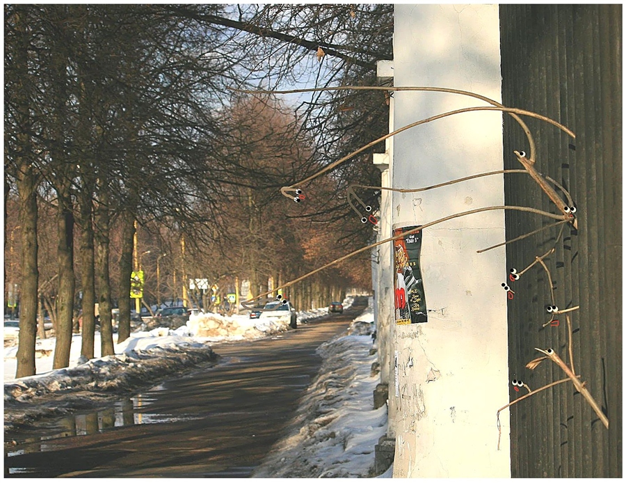 Фото жизнь
