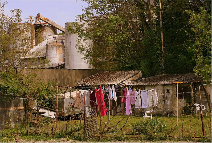 Фото жизнь