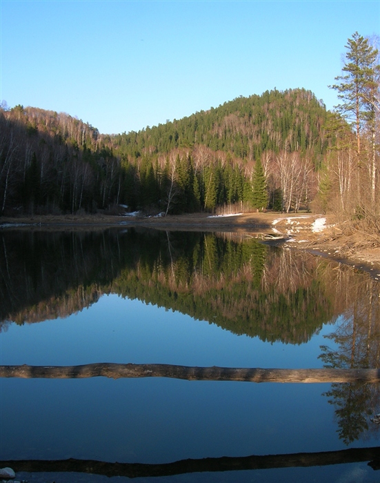 Фото жизнь