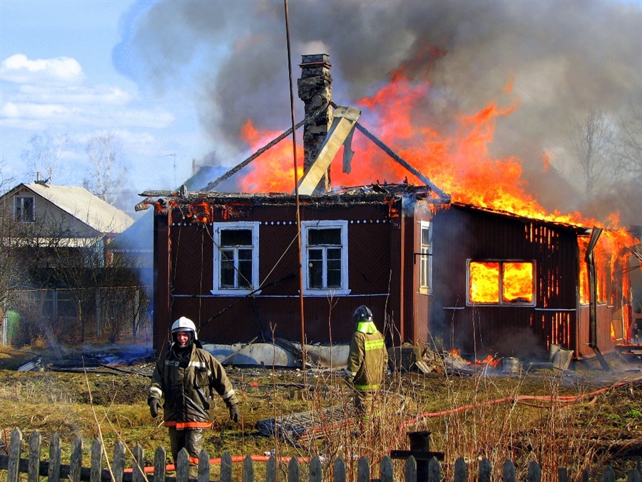 Фото жизнь