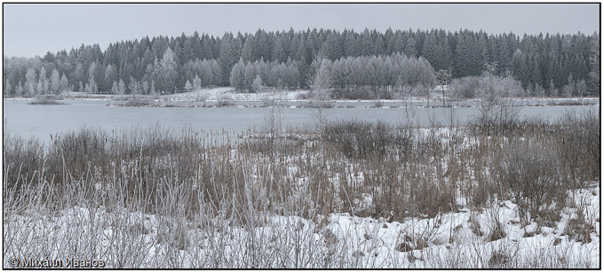 Фото жизнь (light) - klassikstudio - Природа и пейзаж - 005