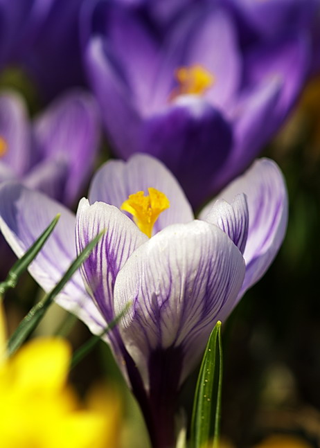 Фото жизнь (light) - Musya - Зарисовки - Один из