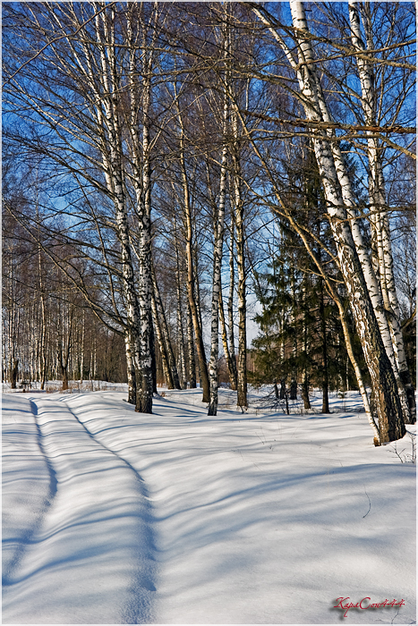 Фото жизнь (light) - dpostnikov - Пейзажи. - ...Ещё апрельские снега лежали белым покрывалом...