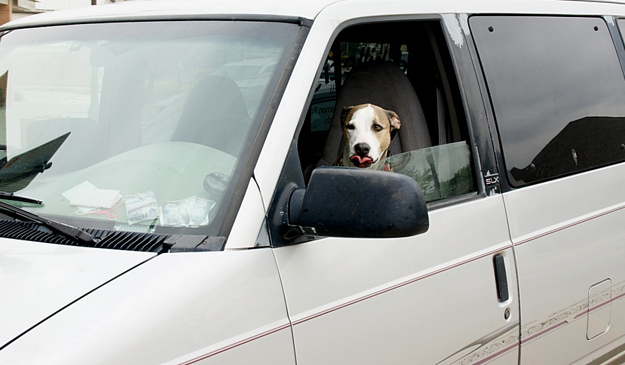 Фото жизнь (light) - Татьяна Новая - корневой каталог - Вот Вам!
