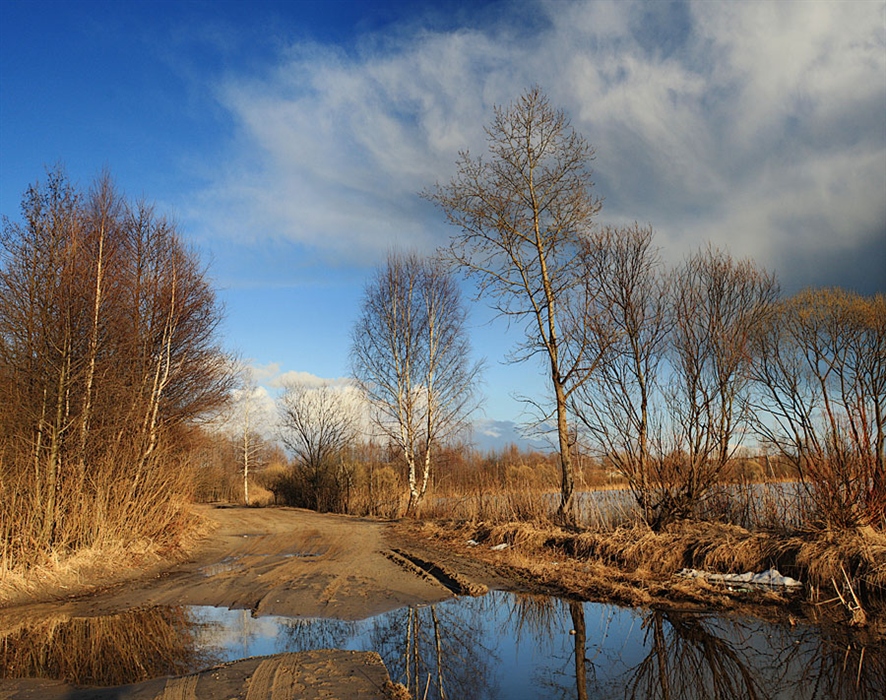 Фото жизнь