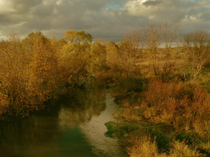 Фото жизнь (light) - Илзе Абелтыня - Есть идея! - Подмосковье моё..