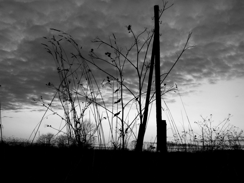 Фото жизнь (light) - el_hombre - альбом -  запустение