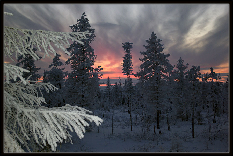 Фото жизнь (light) - Виктор Солодухин - Сказочная зима - Огненный закат