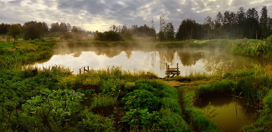 Фото жизнь