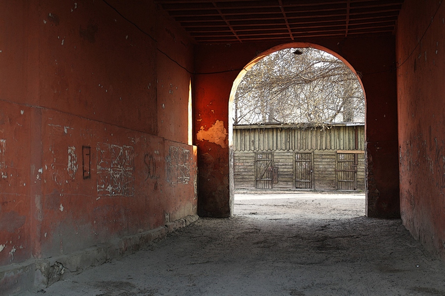 Фото жизнь