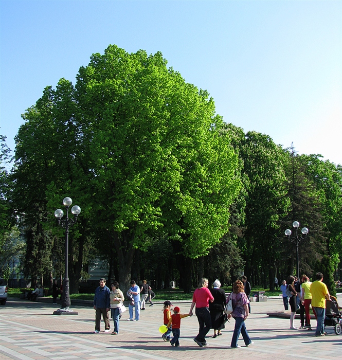 Фото жизнь
