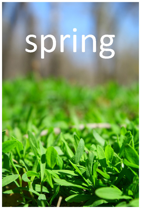 Фото жизнь (light) - nu_i_4tooo - дышит - spring