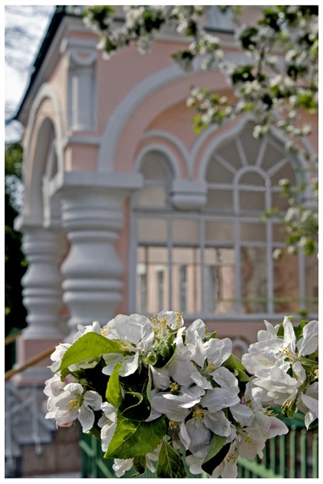 Фото жизнь