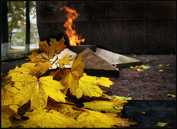Фото жизнь - Наталья Кузнецова - корневой каталог - Сожжённая осень...