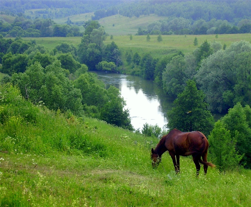 Фото жизнь