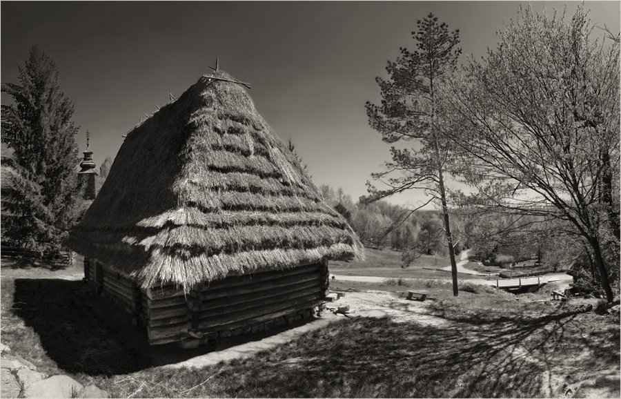 Фото жизнь