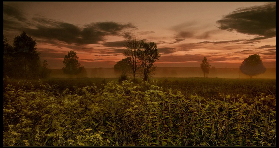 Фото жизнь - Лизавета - корневой каталог - По туману вечернему...