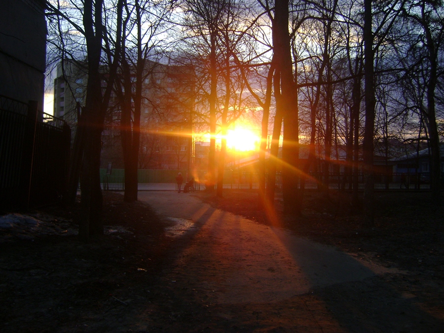 Фото жизнь