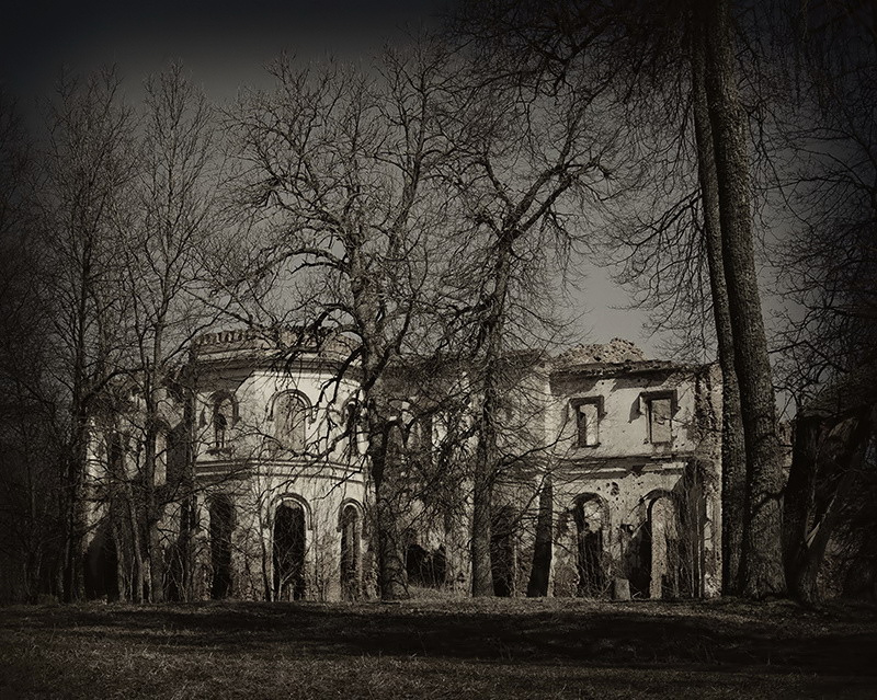 Фото жизнь (light) - temas - Аroundspb - В заброшенном лесу