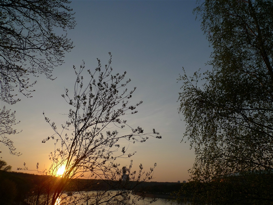Фото жизнь