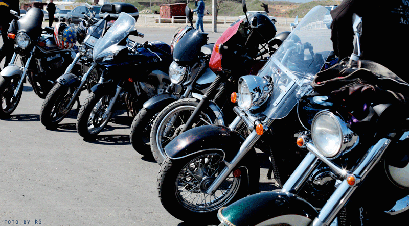 Фото жизнь (light) - Katreen_KG - что, где, когда? :) - brrr)))