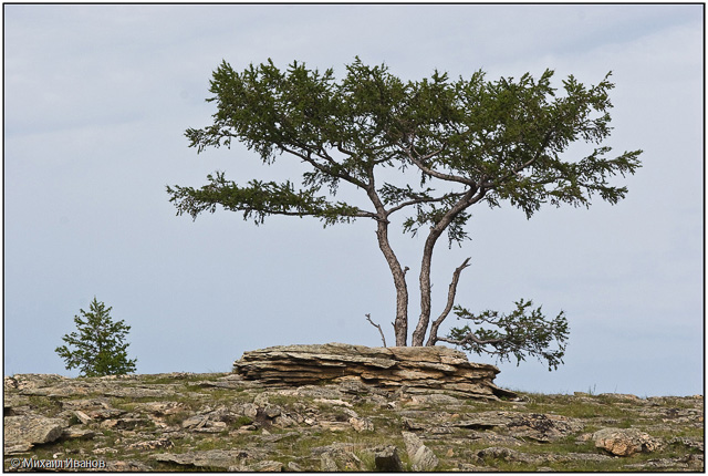 Фото жизнь (light) - klassikstudio - Природа и пейзаж - 062