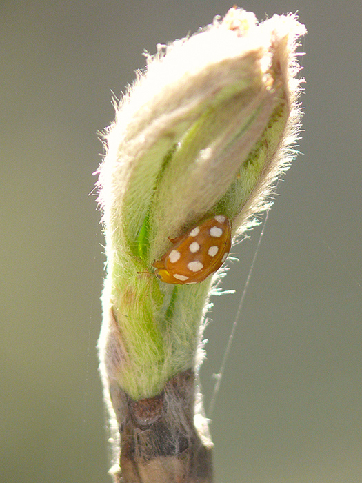 Фото жизнь (light) - Zatvornik - корневой каталог - Пробуждение