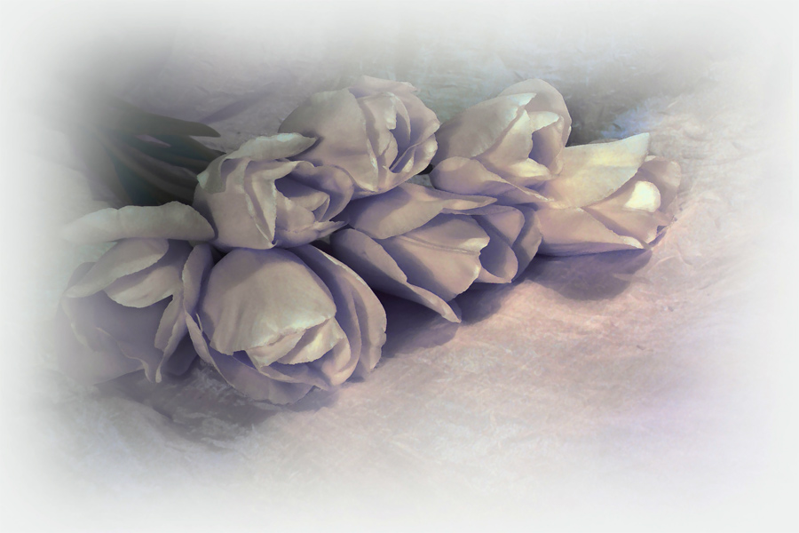 Фото жизнь (light) - Синицына Ольга - цветики - букет