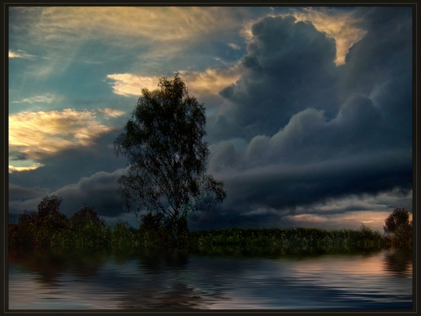 Фото жизнь (light) - Лизавета - корневой каталог - Уходят...