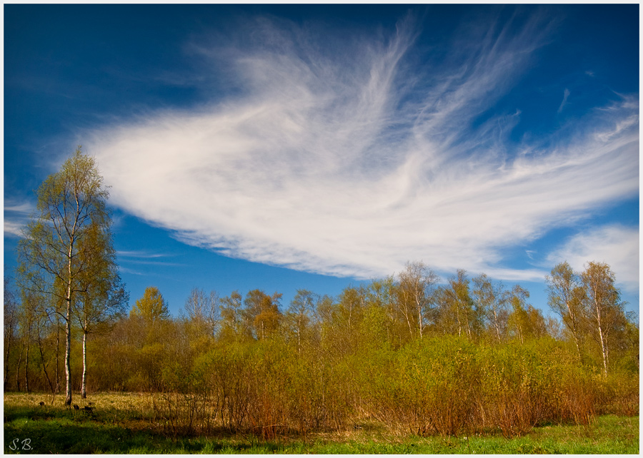 Фото жизнь (light) - Sergei Bashkatov - Пейзажи и природа - Пейзаж с облаком