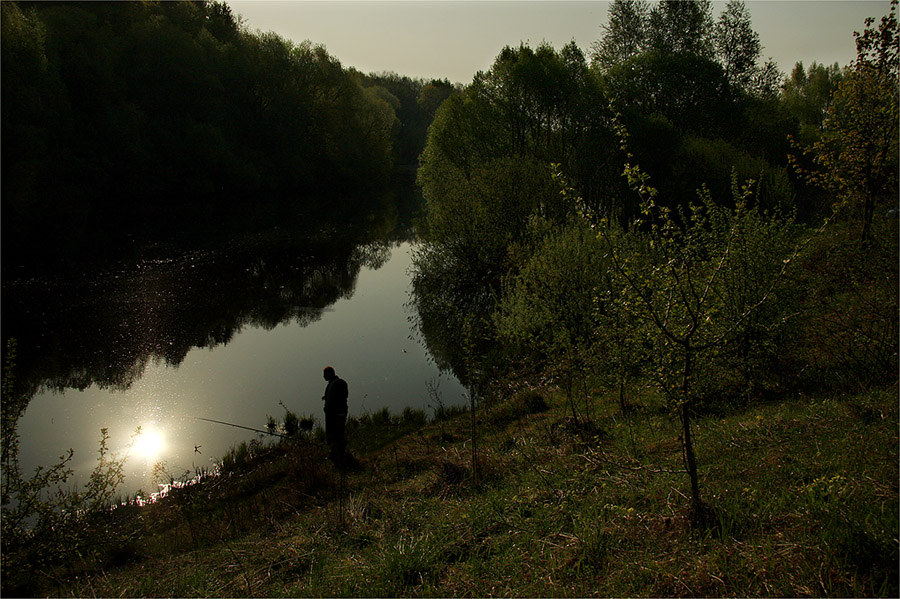 Фото жизнь (light) - Ольга Енаева - пейзаж,природа - ловец солнца