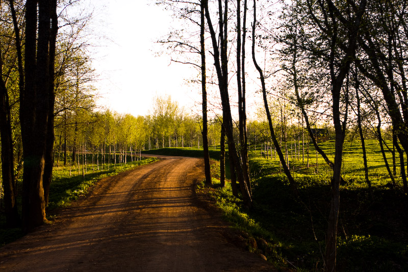 Фото жизнь (light) - lidia - Путешествия - ...