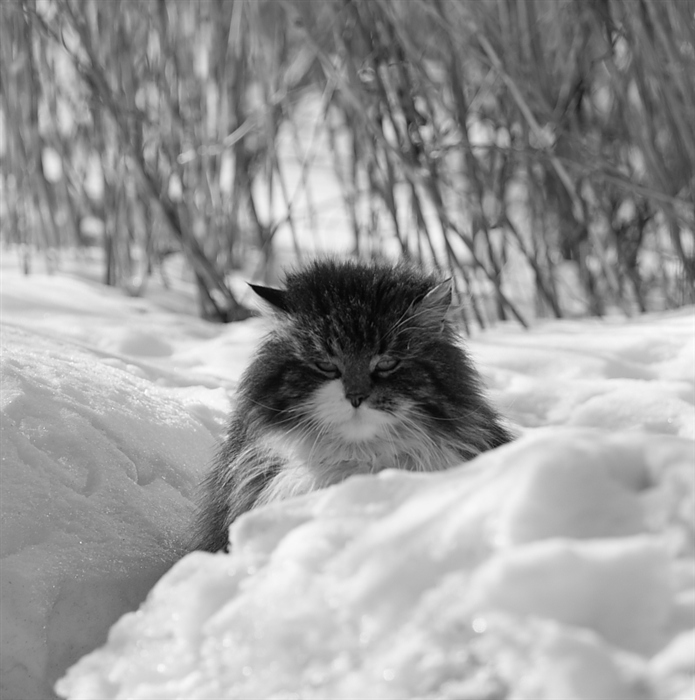 Фото жизнь