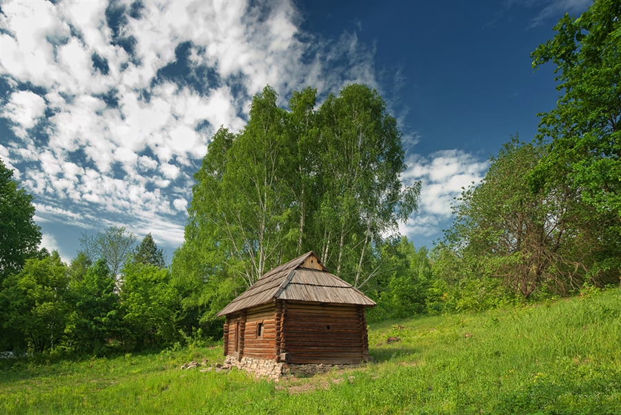 Фото жизнь