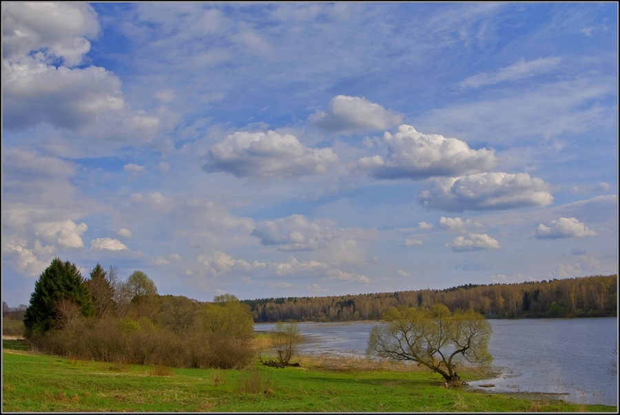 Фото жизнь