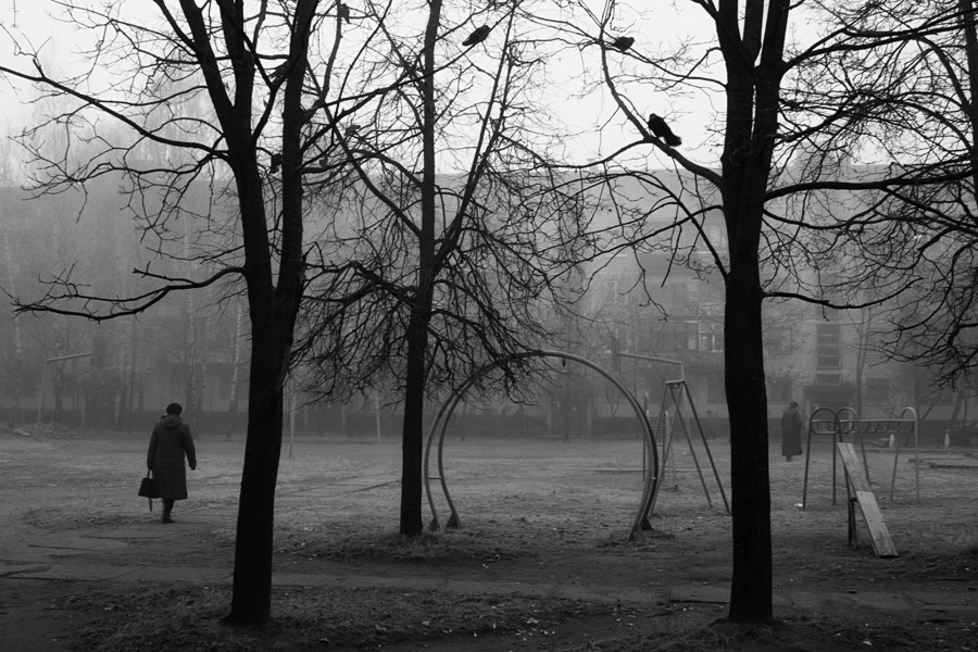 Фото жизнь (light) - Игорь Головачев - содержание - ***