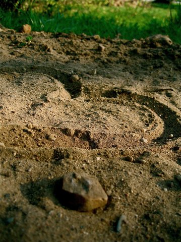 Фото жизнь (light) - Евгения.. - корневой каталог - песок