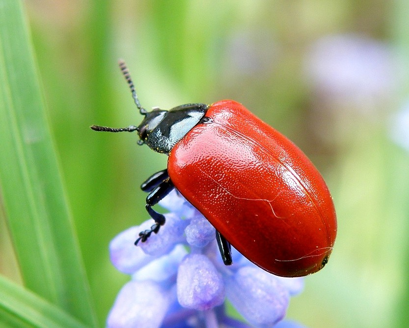 Фото жизнь (light) - Геннадий Нехай - корневой каталог - + + +