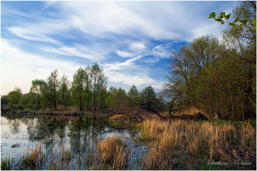 Фото жизнь