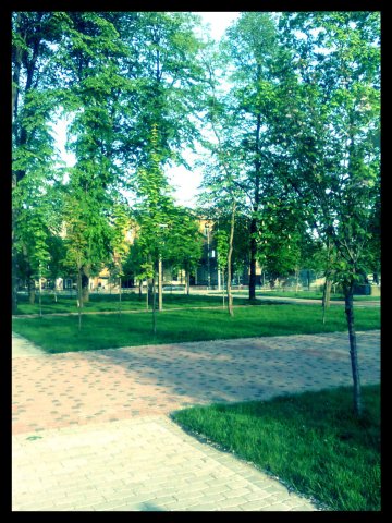 Фото жизнь (light) - Polara - корневой каталог - Весна