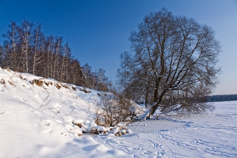 Фото жизнь