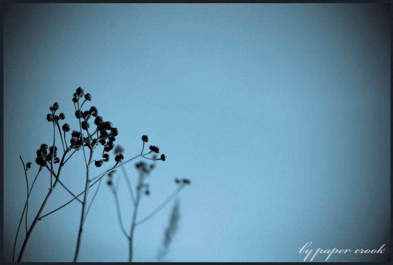 Фото жизнь (light) - AlexandrGlazkov - корневой каталог - Одиночество во мгле