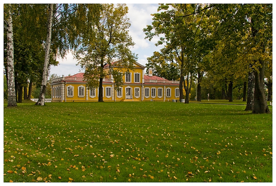 Фото жизнь