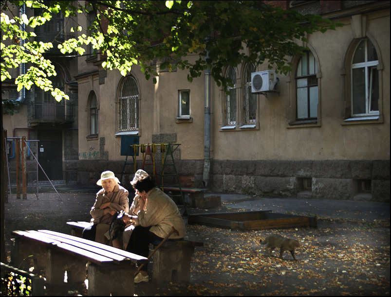 Фото жизнь