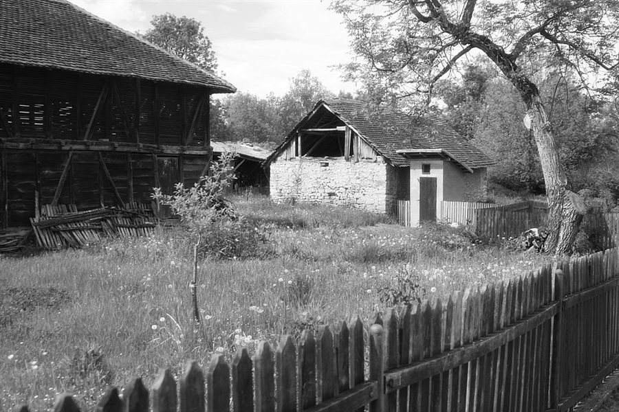 Фото жизнь