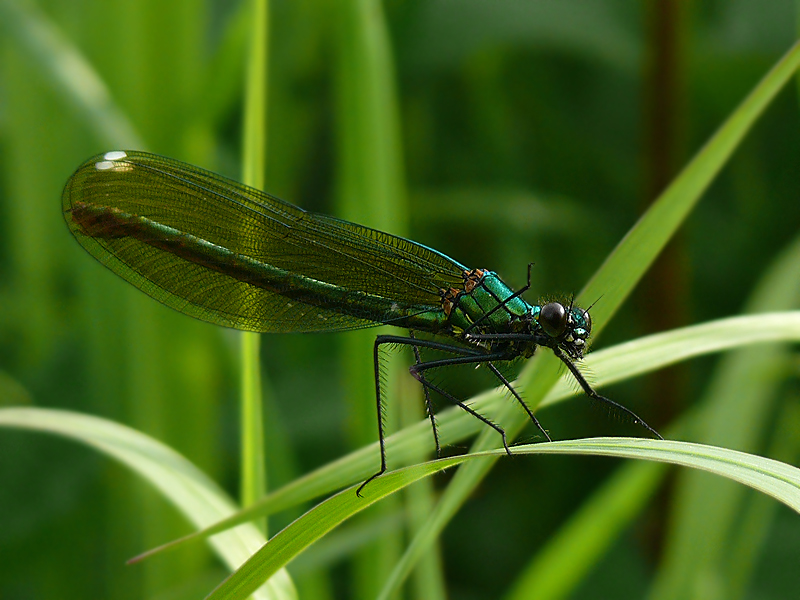 Фото жизнь (light) - Zatvornik - корневой каталог - Приветствую!