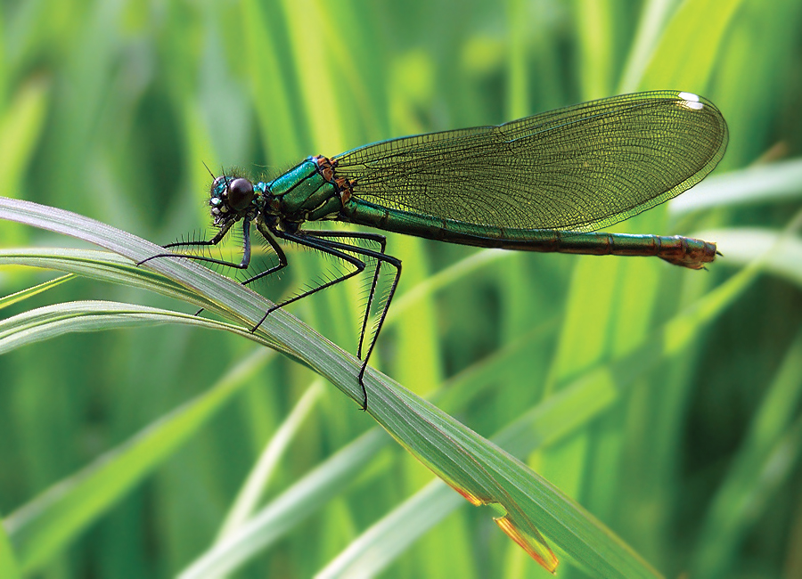 Фото жизнь (light) - Zatvornik - корневой каталог - ***
