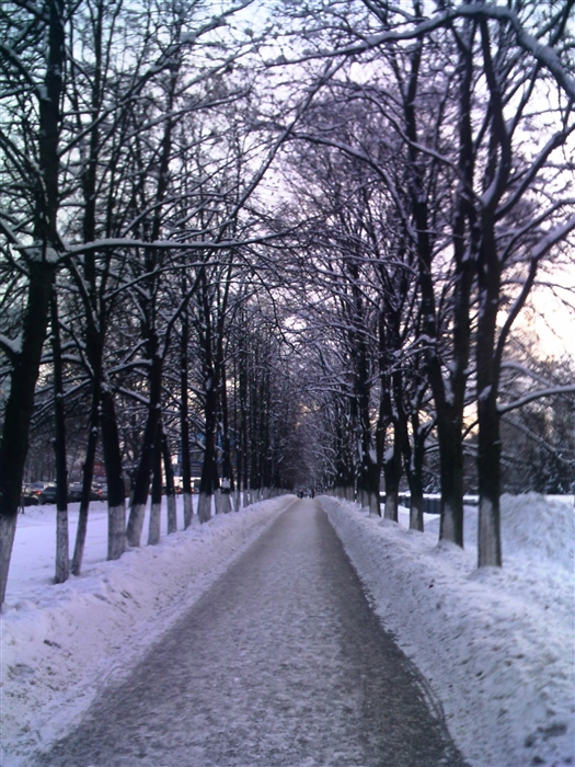 Фото жизнь