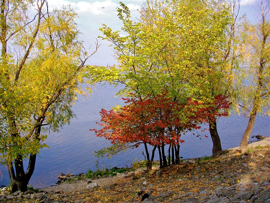 Фото жизнь