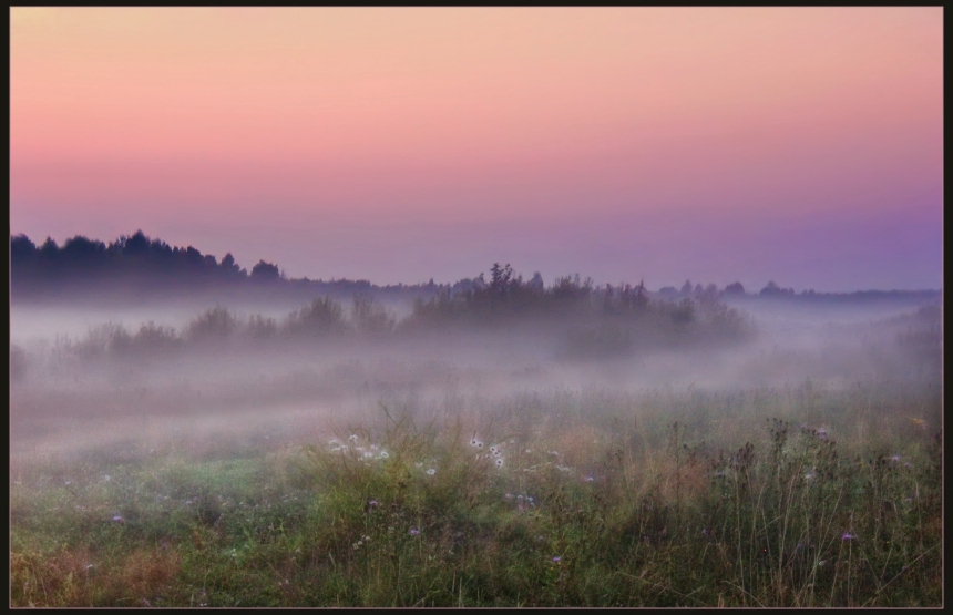 Фото жизнь (light) - Лизавета - корневой каталог - В тумане луговом...